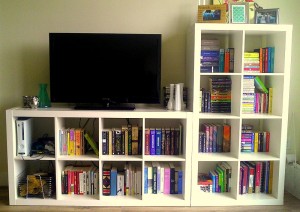 Bookshelves in Living Room, with our TV and video game consoles